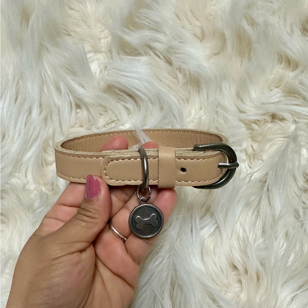 ZARA Beige Faux Leather Dog Collar w/ Bone Charm – Adjustable